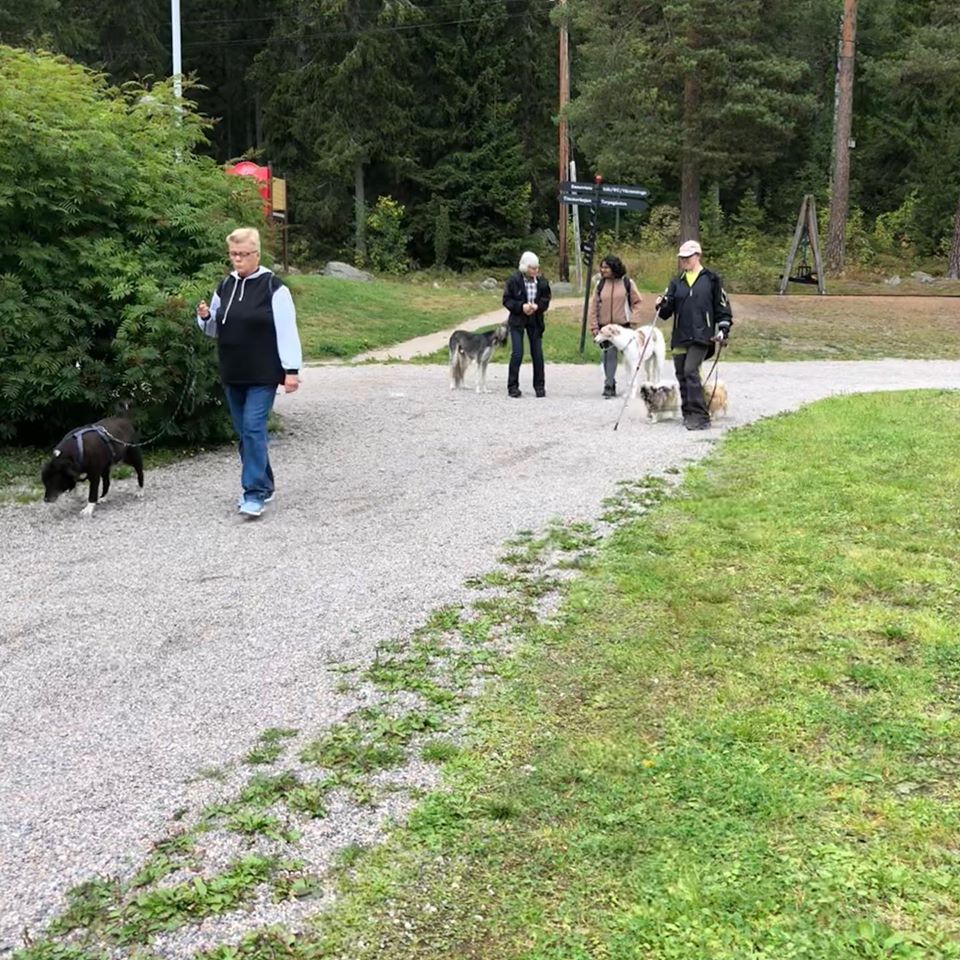 Hundend Hus Promenad Sundsvall