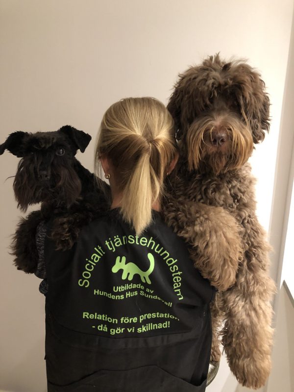 terapihundsutbildningen